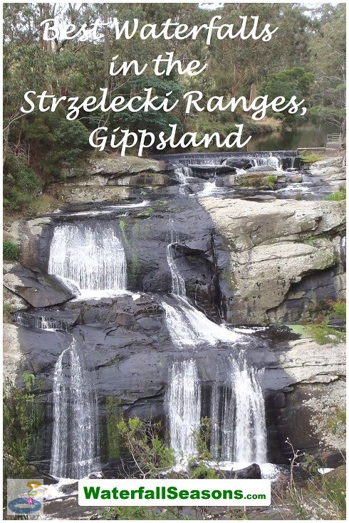 Best Waterfalls in the Strzelecki Ranges