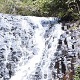 Waterfall Seasons - Guide to Tristania Falls, Dorrigo