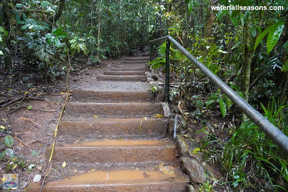 Waterfall Seasons - Guide to Millaa Millaa Falls