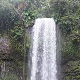Waterfall Seasons - Guide to Millaa Millaa Falls