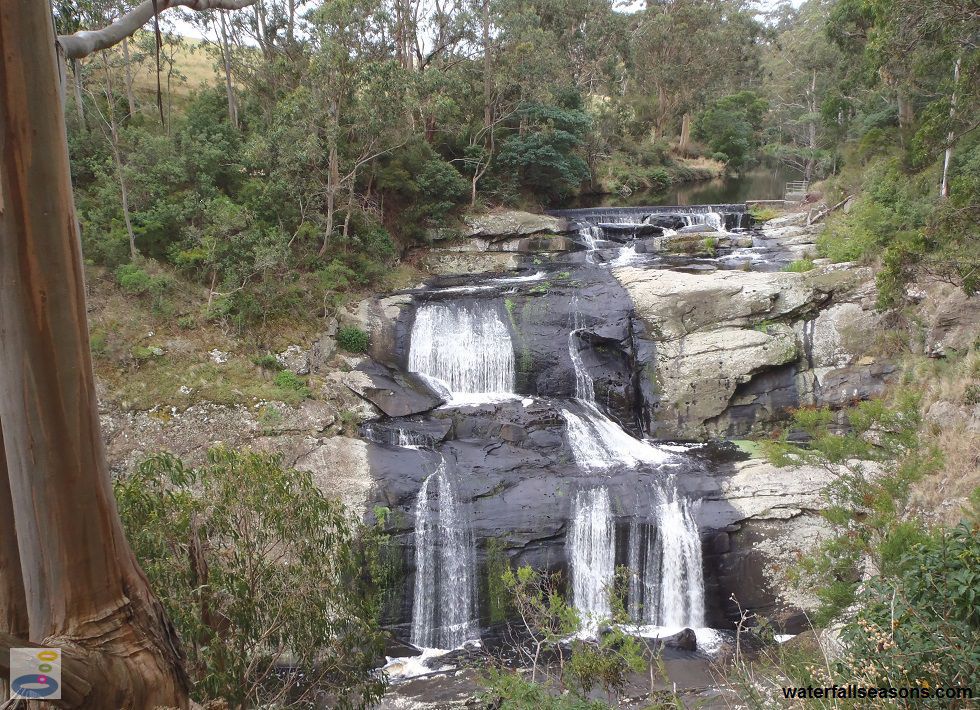 Agnes Falls near Toora in South Gippsland