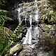 Waterfall Seasons - Guide to Cyathea Falls, Tarra Valley