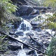 Waterfall Seasons - Guide to Lawson Falls, Bunyip State Park
