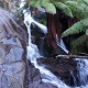 Waterfall Seasons of Victoria - Guide to Phantom Falls, Marysville