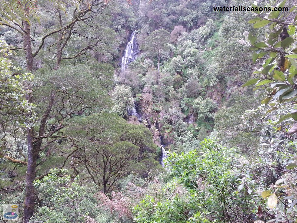 View of Sabine Falls in the Otway Ranges